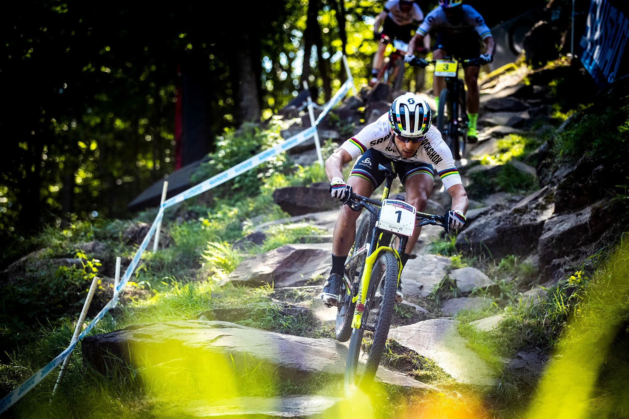 Gepäckträger Verkaufsladen -Gepäckträger Verkaufsladen 39102578 10156324153250211 8671680988012609536 n