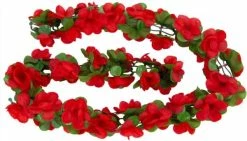 Basil Blumengirlande Flower Garland Rot